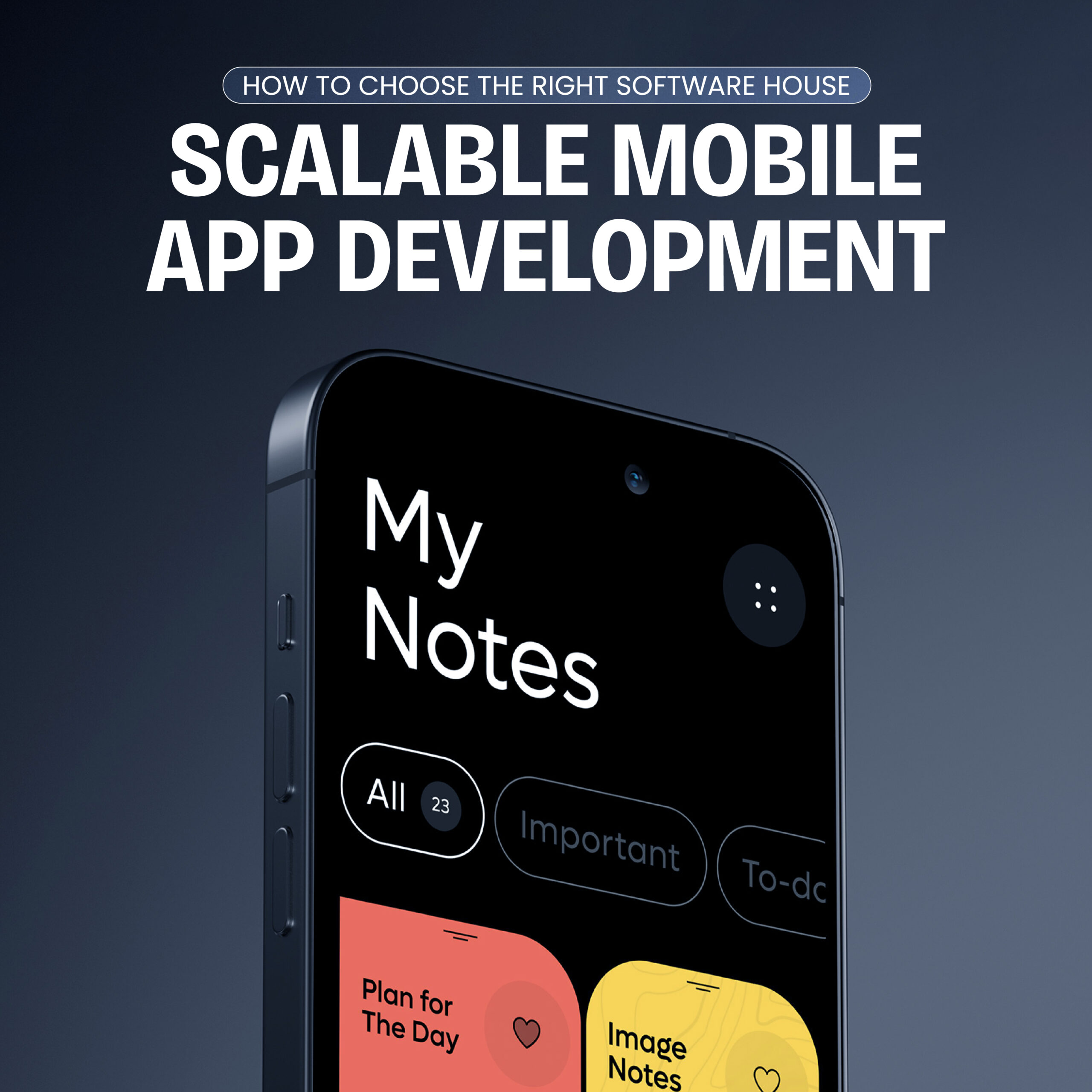 software house in pakistan